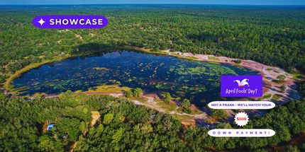 Undeveloped Land in Putnam County, Florida