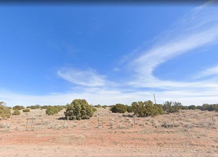 Undeveloped Land in Navajo County, Arizona