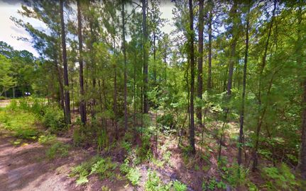 Land in Jasper County, Texas