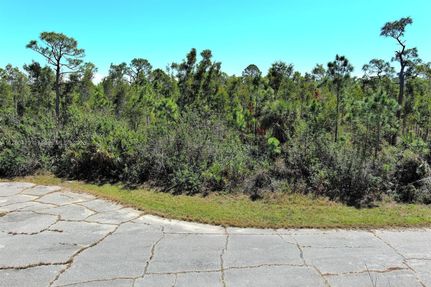 Undeveloped Land for sale in Charlotte County, Florida