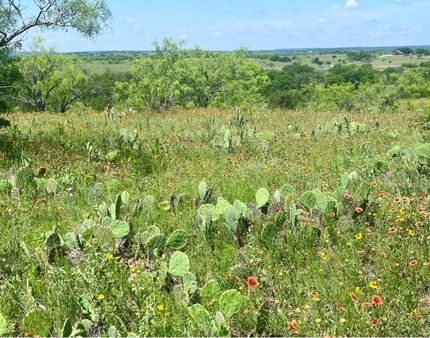 Undeveloped Land for sale in Comanche County, Texas