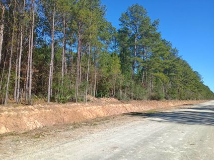Undeveloped Land in Hardin County, Texas