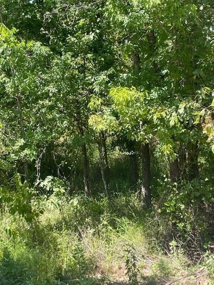 Undeveloped Land in McCurtain County, Oklahoma