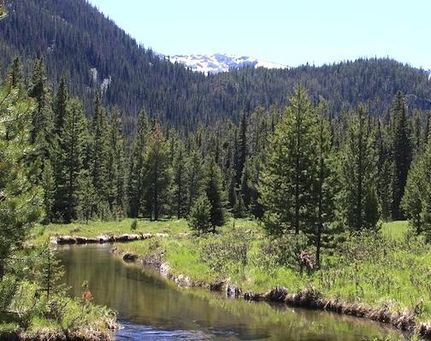 Commercial Property in Madison County, Montana