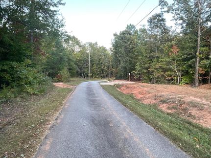 Undeveloped Land in Union County, South Carolina