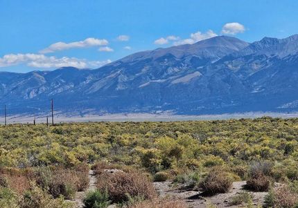 Undeveloped Land in Alamosa County, Colorado