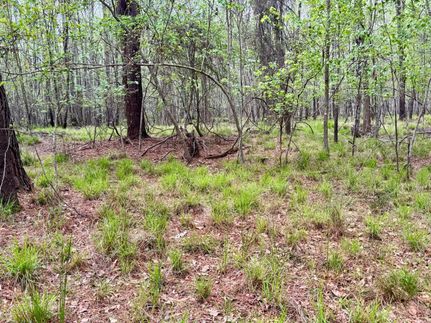 Farm and Ranch for sale in Jasper County, South Carolina