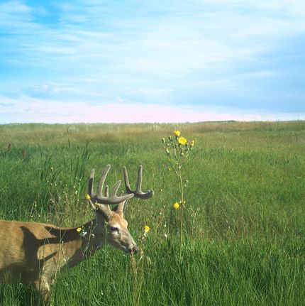 Land in Stark County, North Dakota