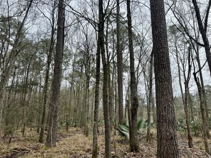 Timberland Property in Jefferson County, Texas