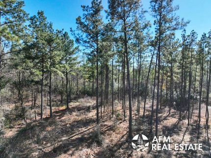 Undeveloped Land in Angelina County, Texas