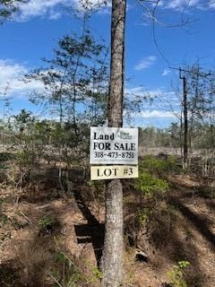 Land for sale in Rapides Parish, Louisiana