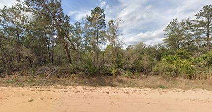 Undeveloped Land for sale in Putnam County, Florida