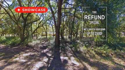 Undeveloped Land in Putnam County, Florida