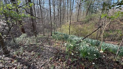 Farm and Ranch for sale in Monroe County, Indiana