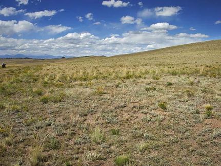 Recreational Property in Park County, Colorado