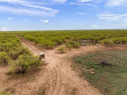 Undeveloped Land for sale in Concho County, Texas