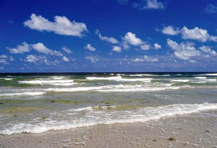 Undeveloped Land for sale in Calhoun County, Texas