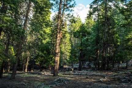 Undeveloped Land in Modoc County, California