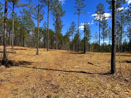 Land for sale in Bradley County, Tennessee