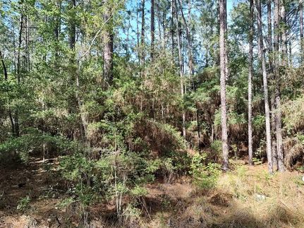 Land in Pearl River County, Mississippi