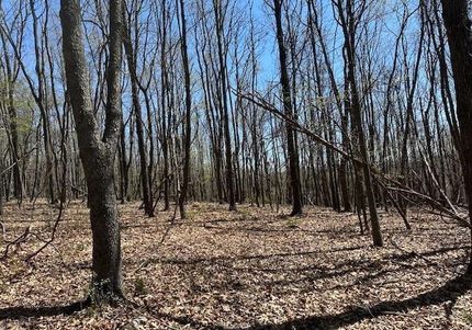 Recreational Property for sale in Hampshire County, West Virginia