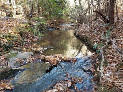Commercial Property for sale in Rutherford County, North Carolina