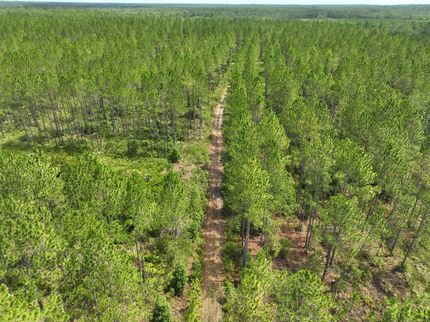 Recreational Property in Charlton County, Georgia