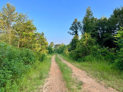 Recreational Property in Hale County, Alabama