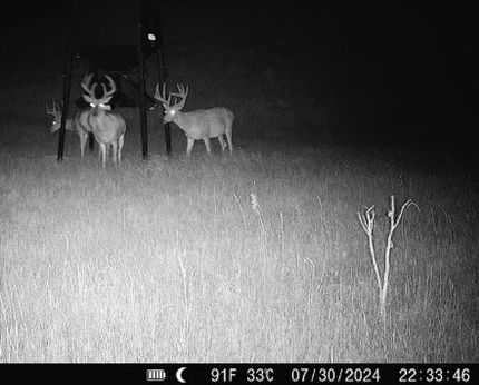 Recreational Property in Ellis County, Kansas