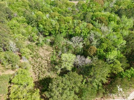 Land for sale in Hampton County, South Carolina