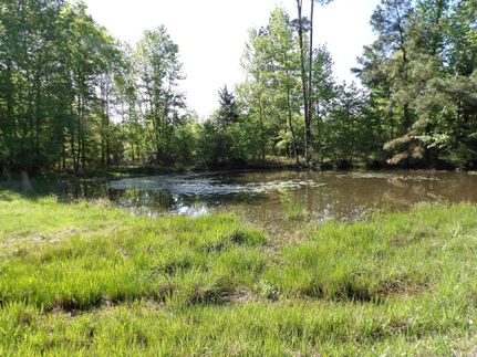 Land for sale in Houston County, Texas