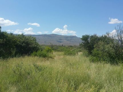 Hunting Property for sale in Hudspeth County, Texas