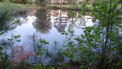 Farm and Ranch for sale in Granville County, North Carolina