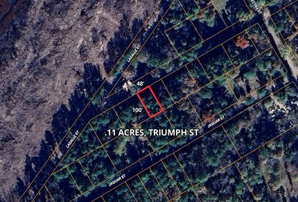 Undeveloped Land in Marion County, Texas