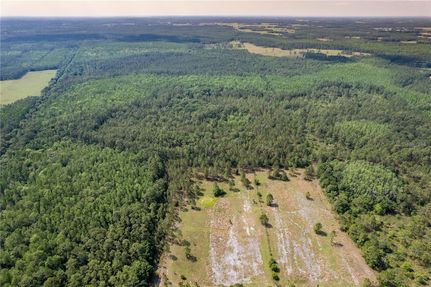 Undeveloped Land in Polk County, Florida