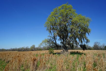 Farm and Ranch for sale in Montgomery County, Alabama