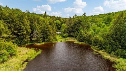 Undeveloped Land for sale in Sullivan County, Pennsylvania