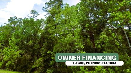 Undeveloped Land in Putnam County, Florida