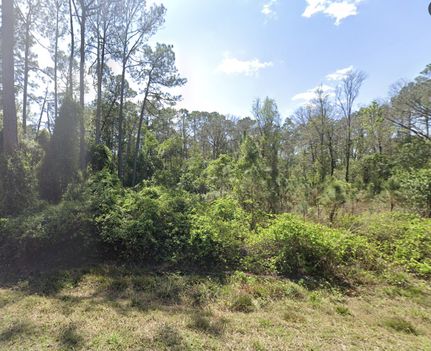 Recreational Property for sale in Putnam County, Florida