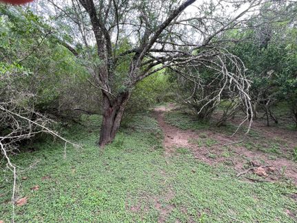 Farm and Ranch in Duval County, Texas