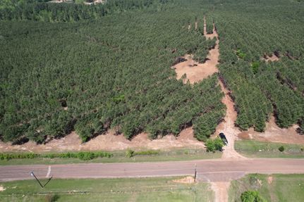 Undeveloped Land for sale in Gregg County, Texas