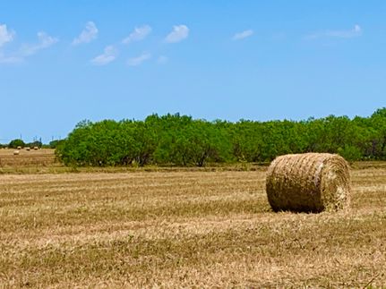 Timberland Property for sale in Bexar County, Texas