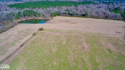Farm and Ranch in Houston County, Alabama