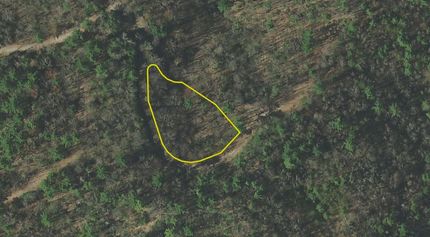 Timberland Property in Cocke County, Tennessee