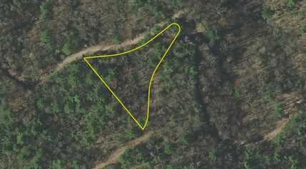 Timberland Property in Cocke County, Tennessee