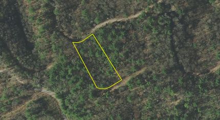 Timberland Property in Cocke County, Tennessee