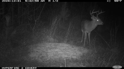 Recreational Property in Fayette County, Alabama