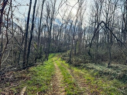 Timberland Property in Gallia County, Ohio