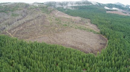 Timberland Property for sale in Marion County, Oregon