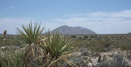 Farm and Ranch for sale in Hudspeth County, Texas